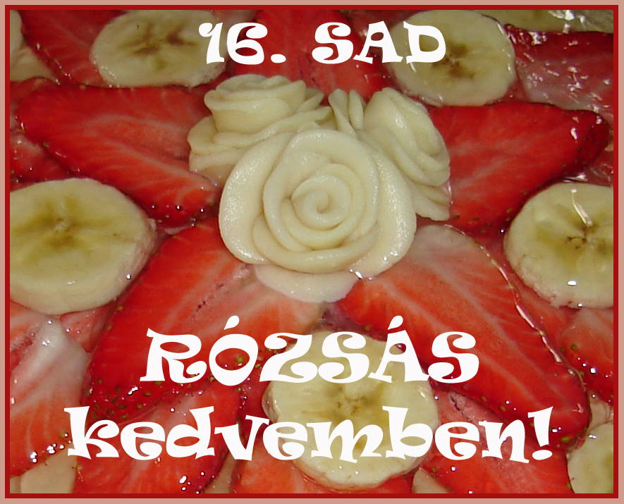 http://sunisuti.blogspot.hu/2013/07/16-sad-rozsas-kedvemben-osszefoglalo.html