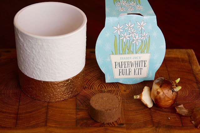 Trader Joe's Paperwhite Bulb Kit