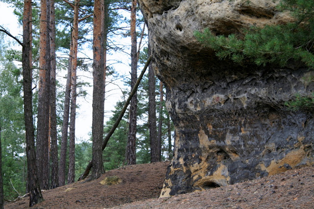 Daubaer Schweiz (Dubské Švýcarsko)