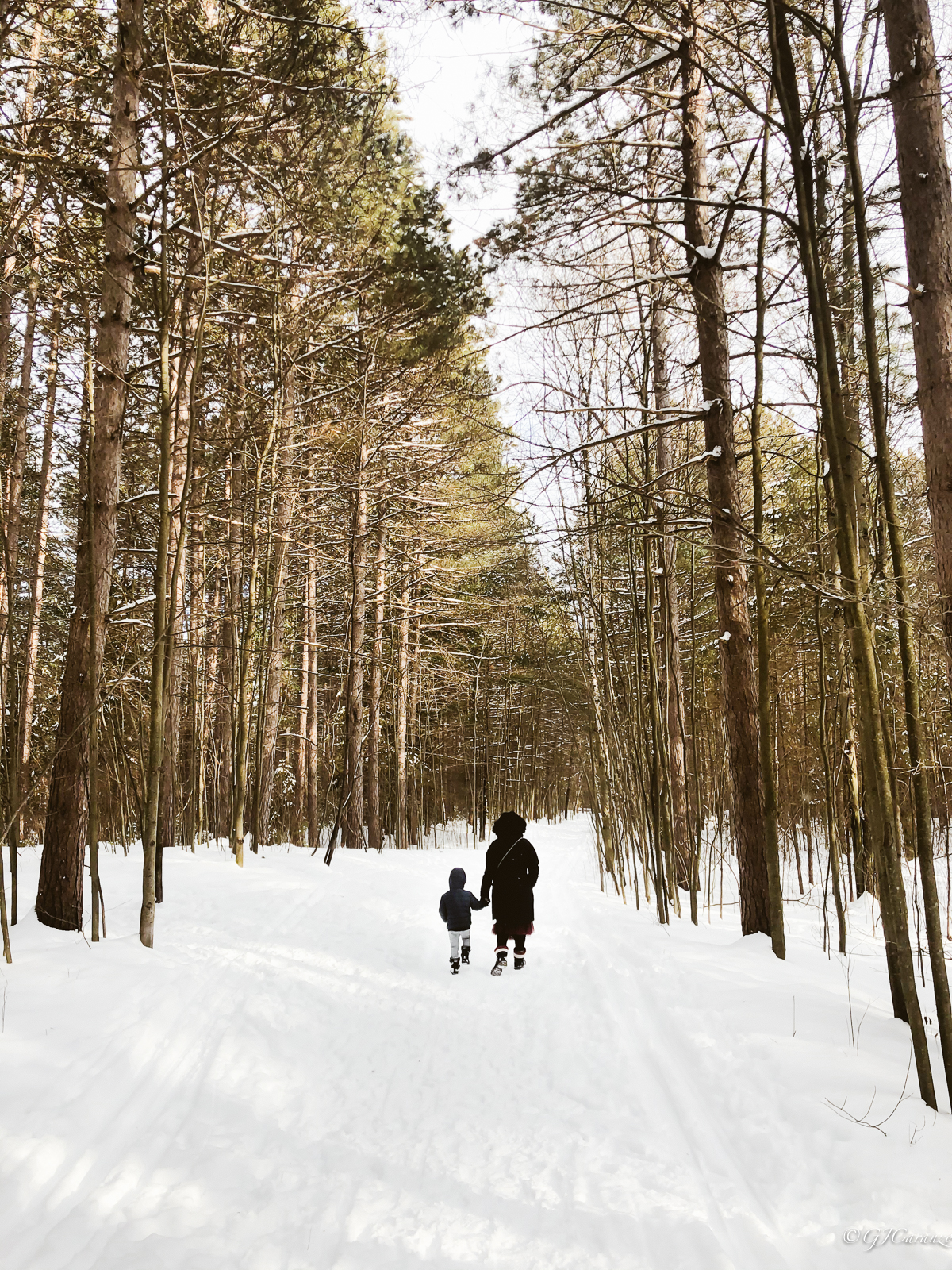 Winter in Ottawa, Ontario, Canada