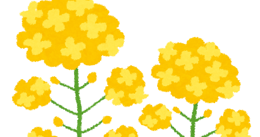 菜の花のイラスト かわいいフリー素材集 いらすとや