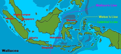 Soal 1 Keanekaragaman Hayati Biologi Kelas X SMA MA 