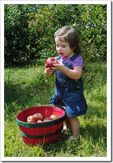 Sky Top Orchard 2011-09-25 034