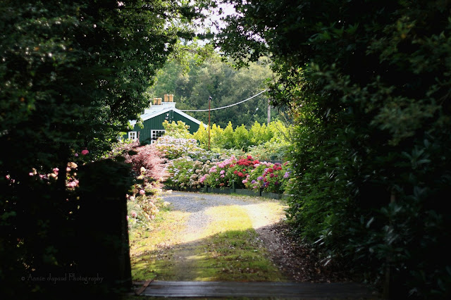 entrance to a house surrounded by trees