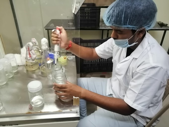 Student performing Plant Tissue Culture work