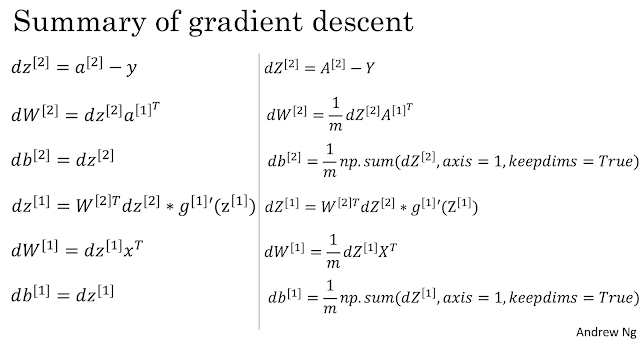 deep learning week 3 assignment