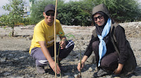 Menggiatkan Pemulihan Ekosistem Pesisir, Mapala Pawana FMIPA Universitas Tadulako Tanam Mangrove di Pantai Mamboro Barat