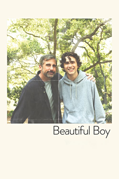 Download Beautiful Boy 2018 Full Movie With English Subtitles