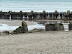 Remnants of former sea defences at Walcott