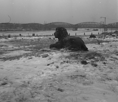 Winter 1967 : Eenzame Leeuw aan de Maasboulevard