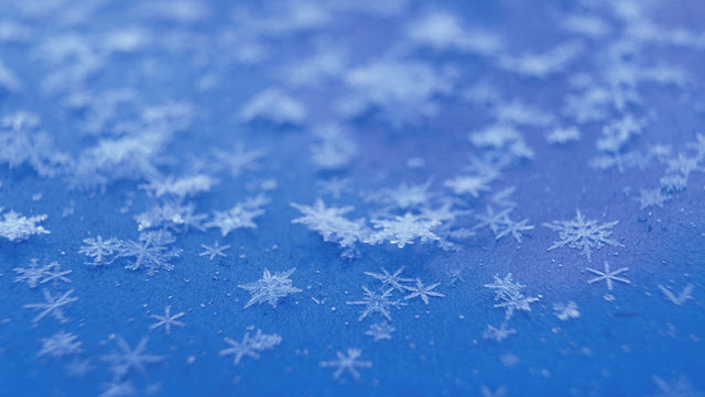 Best Winter Snowflakes HD Wallpaper