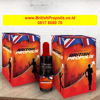 Kegunaan-British-Propolis-Distributor-British-Propolis-Kids-Bisnis-British-Propolis-Agen-British-Propolis
