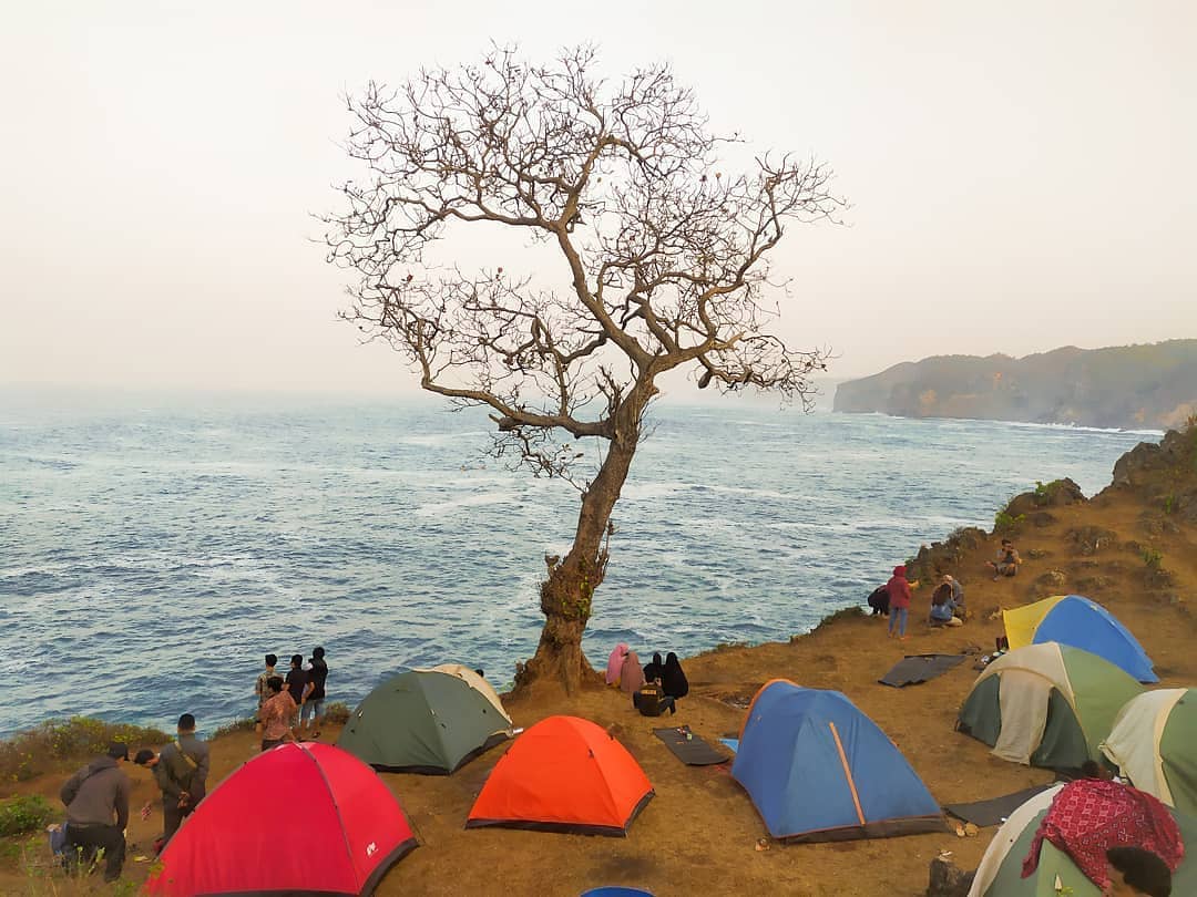  Pantai Kesirat  Tempat Camping Terbaru Di Gunung Kidul 