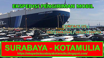 EXPEDISI PENGIRIMAN MOBIL [PICK UP, TRUK CDD, FUSO, TRONTON, TRAILER, DUMP TRUCK] KOTAMULIA PUNCAK JAYA PAPUA MURAH