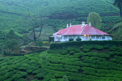 munnar hotel location