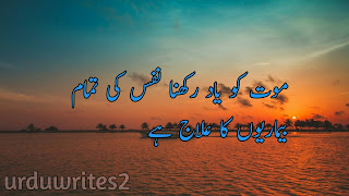 Urdu quotes about love