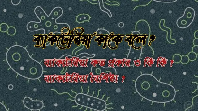 ব্যাকটেরিয়া কাকে বলে
