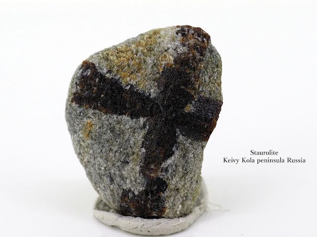 スタウロライト 十字石 Staurolite Keivy Kola peninsula Russia