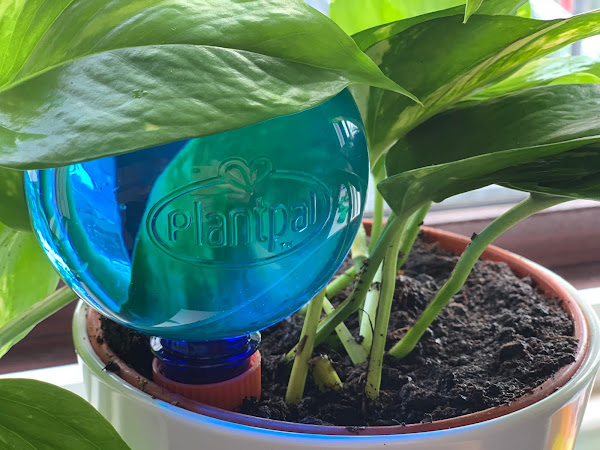 How To Keep Your Plants Alive (Review & Giveaway: Plantpal Self-Watering Products)