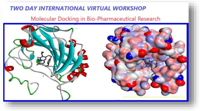 International Virtual Workshop on “Molecular Docking in Bio-Pharmaceutical Research” | 1st - 2nd-3rd March 2024