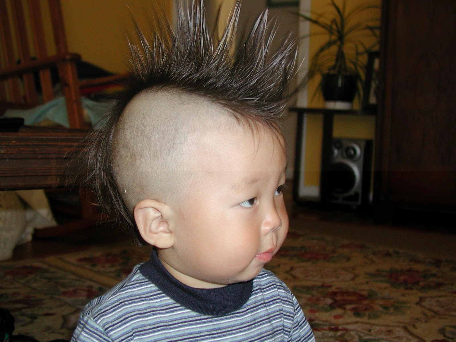 Kid Hairstyles Boy