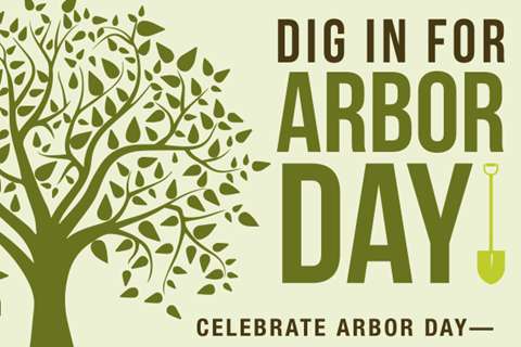 National Arbor Day Wishes for Instagram