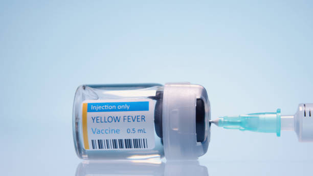 Febre amarela, a epidemia de retorno - Maio de 2022