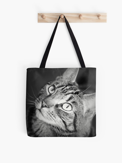 tabby cat tote bag