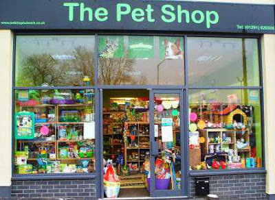 Merawat Hewan  hewan  Lucu dengan Membuka Pet Shop  Blogger 