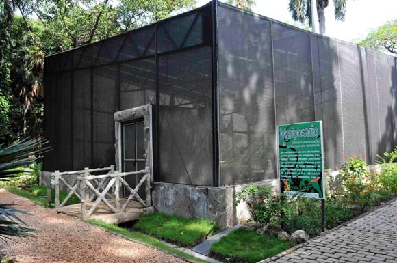 Mariposario cuba habana