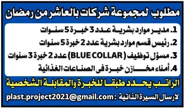 وظائف الوسيط مصر | العدد الأسبوعي اليوم 25 ابريل 2025