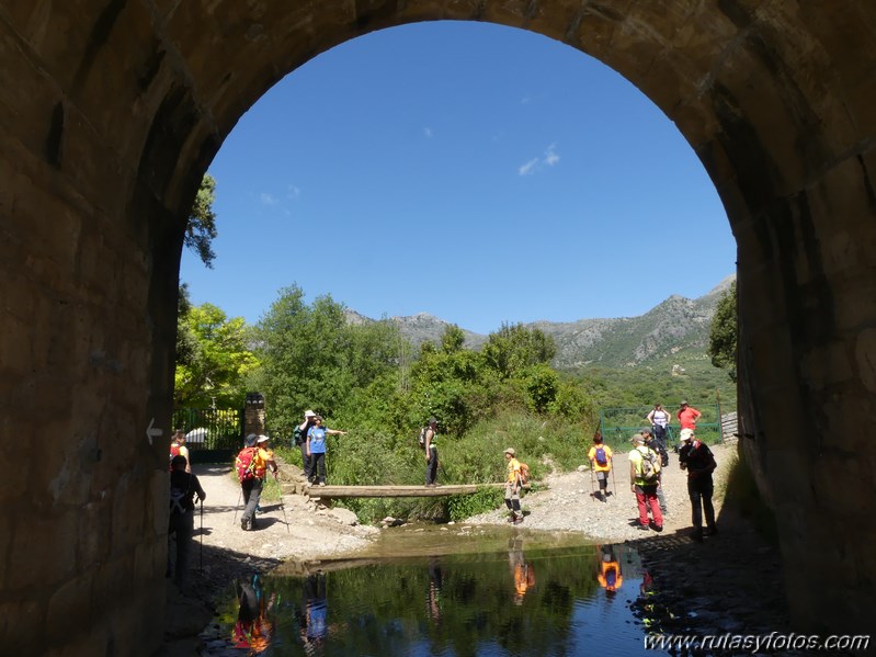 Estación de Cortes - Estación de Benaoján por el sendero del río Guadiaro