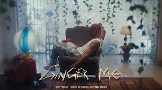 New Video|Rema-Ginger Me|Download Mp4