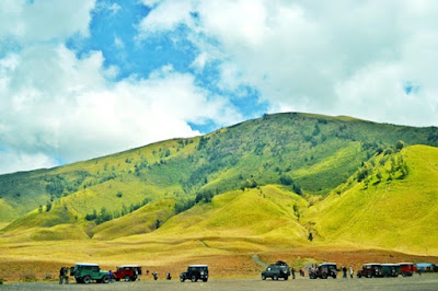 Wisata probolinggo, padang rumput savana