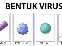 Pengertian, Ciri, Stuktur ‎Tubuh, Reproduksi, dan Peranan Virus-Biologi Kelas X IPA SMA-MA