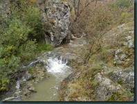 DSCN4206
