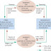 CIRCULAR FLOW DIAGRAM