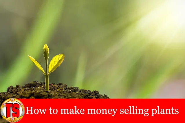 make money selling plants