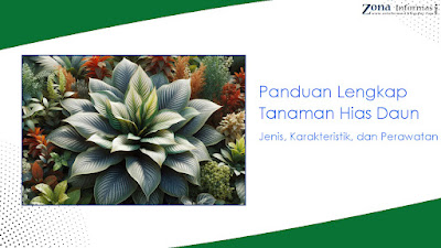 Panduan Lengkap Tanaman Hias Daun