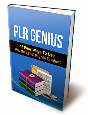 PLR Genius: Make Money with PLR Contents