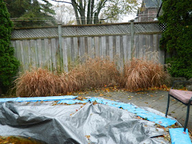 Toronto Gardening Services Bedford Park Backyard Fall Cleanup before by Paul Jung