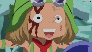 ワンピースアニメ ドレスローザ編 672話 レオ | ONE PIECE Episode 672