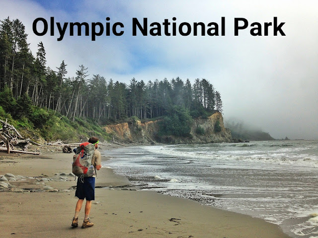 Olympic National Park - facts, Attractions & tourist information