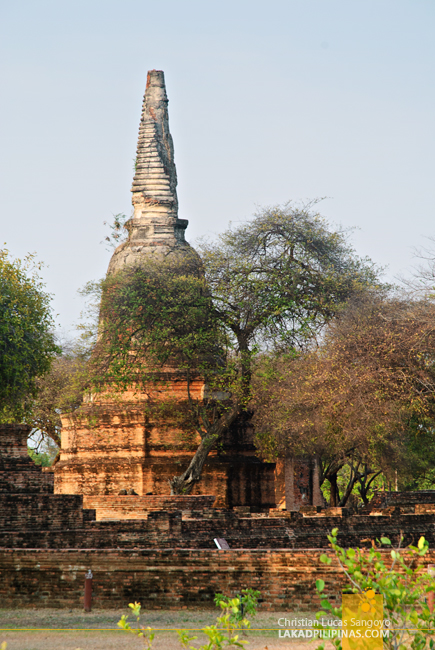 Ayutthaya Historical Park Thailand