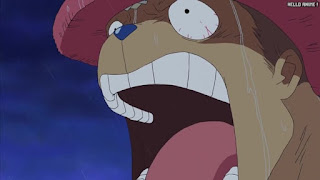 ワンピース アニメ ウォーターセブン編 254話 チョッパー Tony Tony Chopper | ONE PIECE Episode 254 Water 7