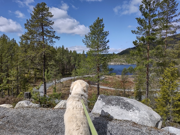 Klevarudnatten Trytetjern Nesbyen stolpejakt