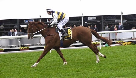 race 8 _blackie
