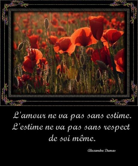 Citations Option Bonheur Citation Sur L Amour Et Le Respect