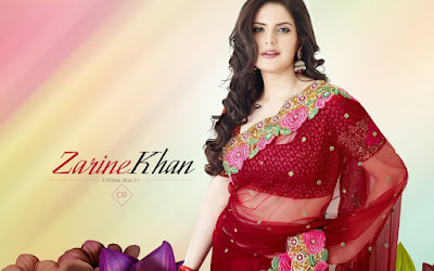 Zarine Khan hd Wallpaper  44