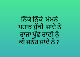 Punjabi Bujartan with Answers